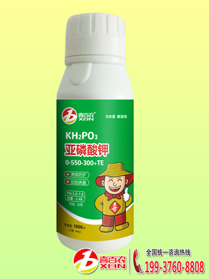 微生物菌肥与调节功能肥的应用价值及生物技术推广服务展望